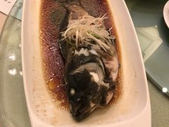 -上海大酒店(南京东路店)