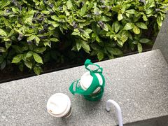 -星巴克臻选(思南公馆店)