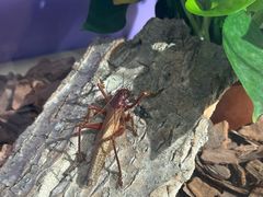 -昆山招商花园城