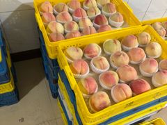 -老袁家蜜桃农场·阳山水蜜桃