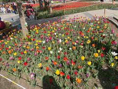 -长春公园(普阳街道)