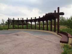 DSC08465-永定河休闲森林公园