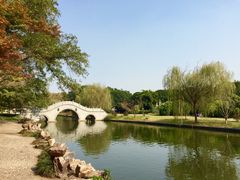 iphone_upload_pic-焦山风景区