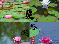 -莫愁湖公园