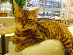 -小时光咖啡馆(开森度假森林店)