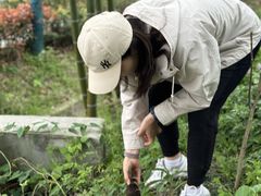 -石塘人家