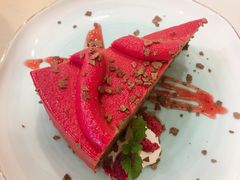 -飞行喵MR PILOT|猫舍·猫咖(静安大融城店)