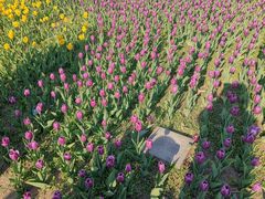 -长春公园(普阳街道)