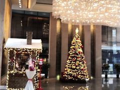 -北京朝阳悠唐皇冠假日酒店