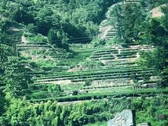 -九鲤溪瀑景区