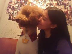 -百好乐宠物友好餐厅(朝外大街店)