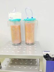 -天津伊美尔医疗整形美容专科医院