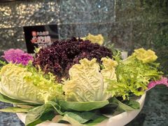 -百草滩羊清水涮羊肉·清真·宁夏盐池滩羊(莲花桥店)