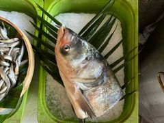 -万龙洲海鲜(南新仓店)