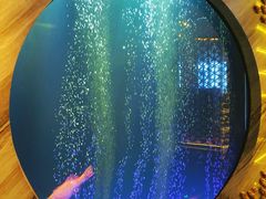 -莉莉海堂HAITANG·烤鸭(国贸商城店)