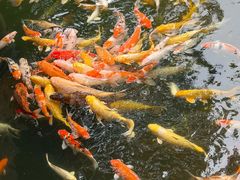 -不晚酒店(苏州观前平江路店)