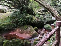 -赤水丹霞旅游区·佛光岩