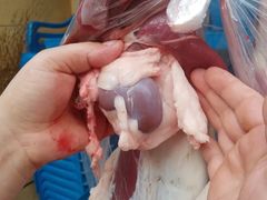 -新疆正宗烤肉营养馕(文化路店)