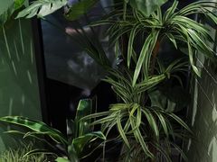 -椰小鸡·琼州糟粕醋·火锅(美兰缤纷城店)