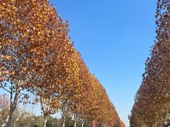 -南京金牛湖风景区