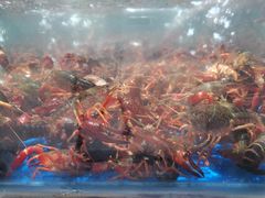 -盒马鲜生(莱蒙都会店)