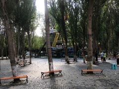 -长白岛森林公园