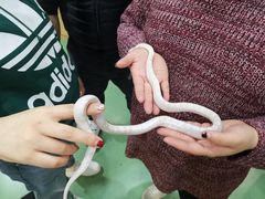 -藦茜花园宠物主题亲子互动体验馆(国顺东路店)