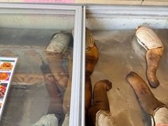 -荔城生鲜盛宴(番禺旗舰店)