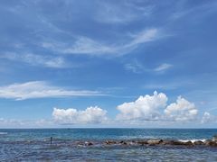 -广东惠东海龟国家级自然保护区