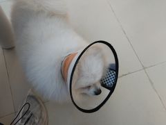 -怪兽屋·羊驼·猫咖·狗咖(俊华广场店)