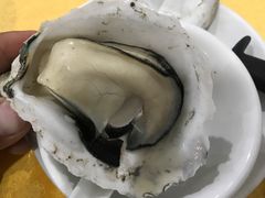 -蚝专家(北滘店)