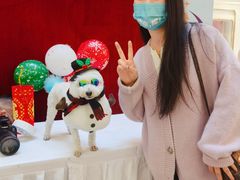 -金茂览秀城