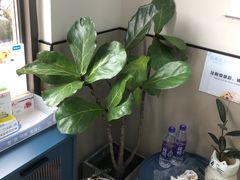 -嘉美宠物医院