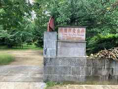 -腾冲国萍农家乐
