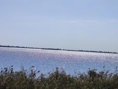 -哈素海