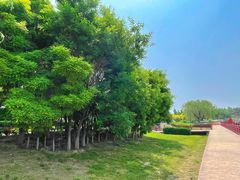 -绿堤公园