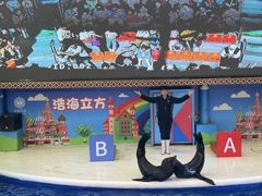 -成都浩海立方海洋公园