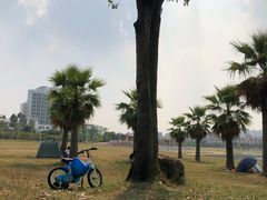 -仙湖旅游度假区