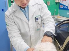 -瑞派动物医院·猫专科·至诚(江南中分院)