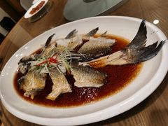 翘嘴鲌鱼-丹江渔村(望京店)