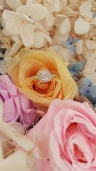 -钻石小鸟钻戒婚戒定制(石路店)