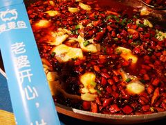 -爱妻鱼•老体北重庆水煮鱼•川菜(白云路店)