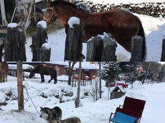 -雪谷