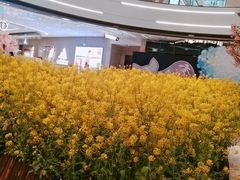 -必胜客(上海新南方商城PH店)