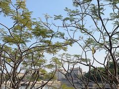 -集美学村