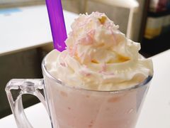 -喵的天空名猫咖啡馆·撸猫·猫舍·用品