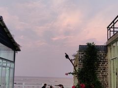 -这片海·海景餐厅(博鳌店)