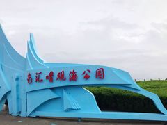 -南汇嘴观海公园