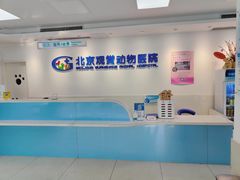 -北京观赏动物医院·24小时大型综合·猫专科·异宠专科