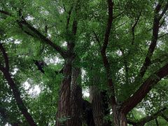 -红螺寺